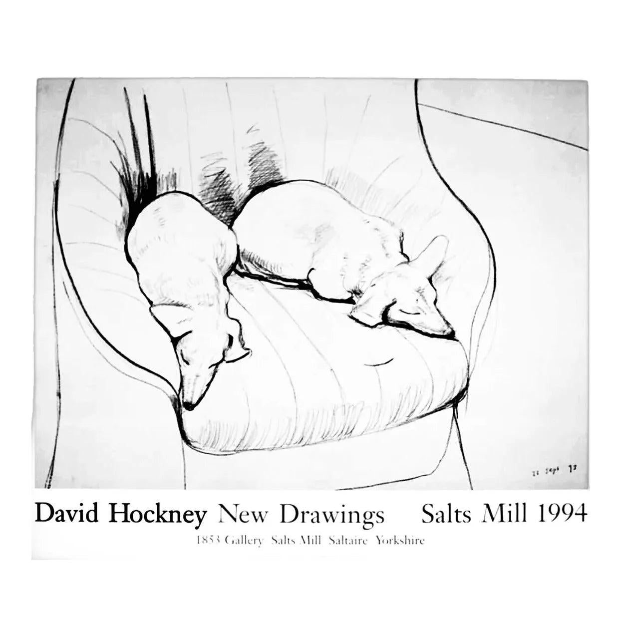 Frisman Vintage David Hockney Dachshund Doxie Dog Exhibition Lithograph Poster