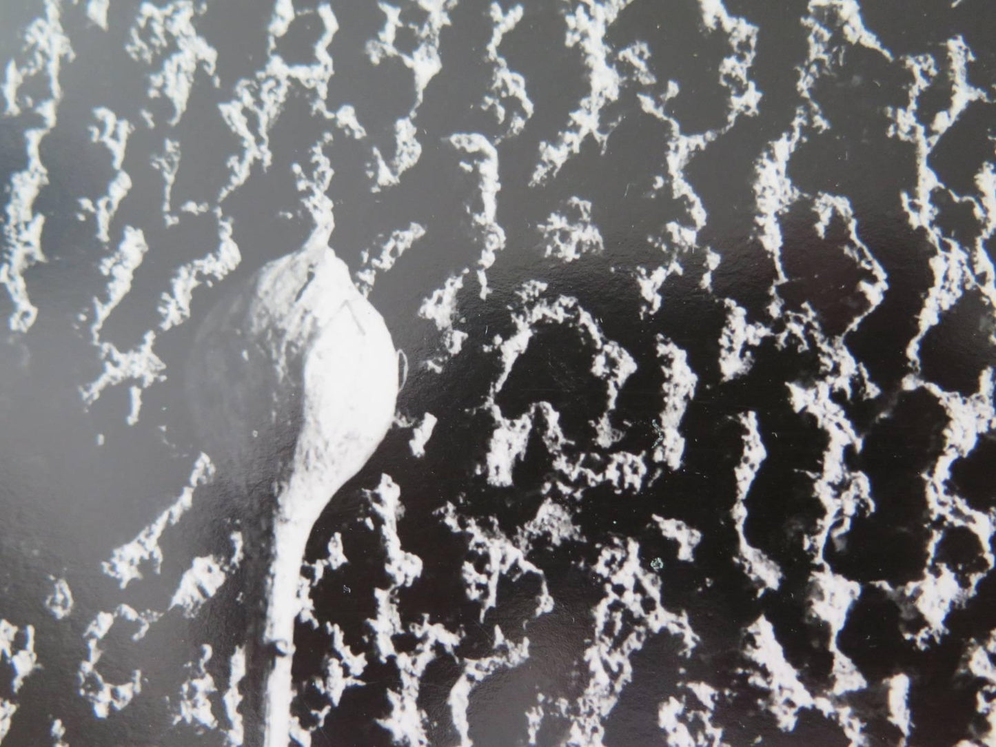 Frisman Vintage Aaron Siskind Photograph, 1961