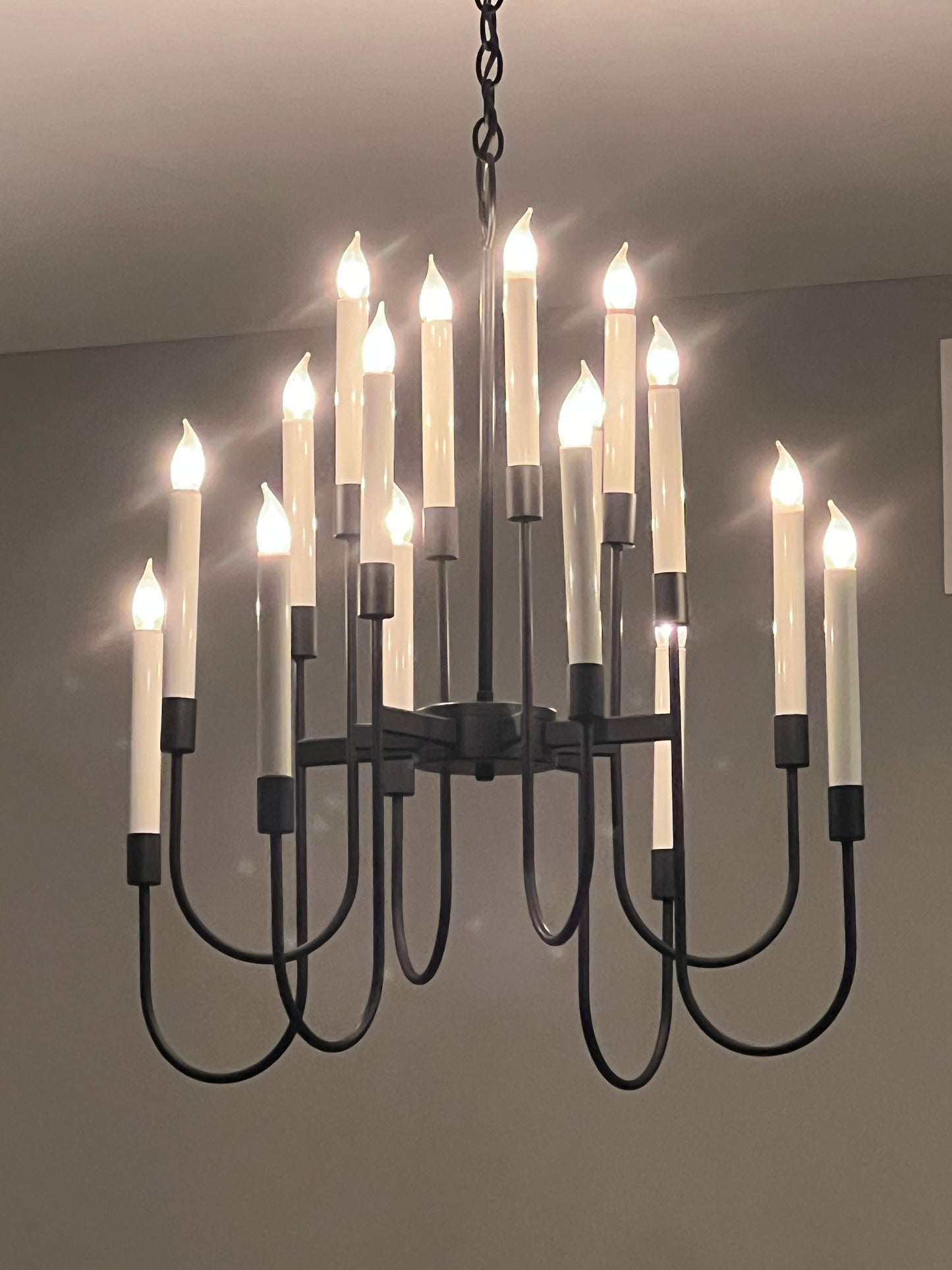 Frisman Vintage Vintage Sixteen Arm Chandelier by Lightolier