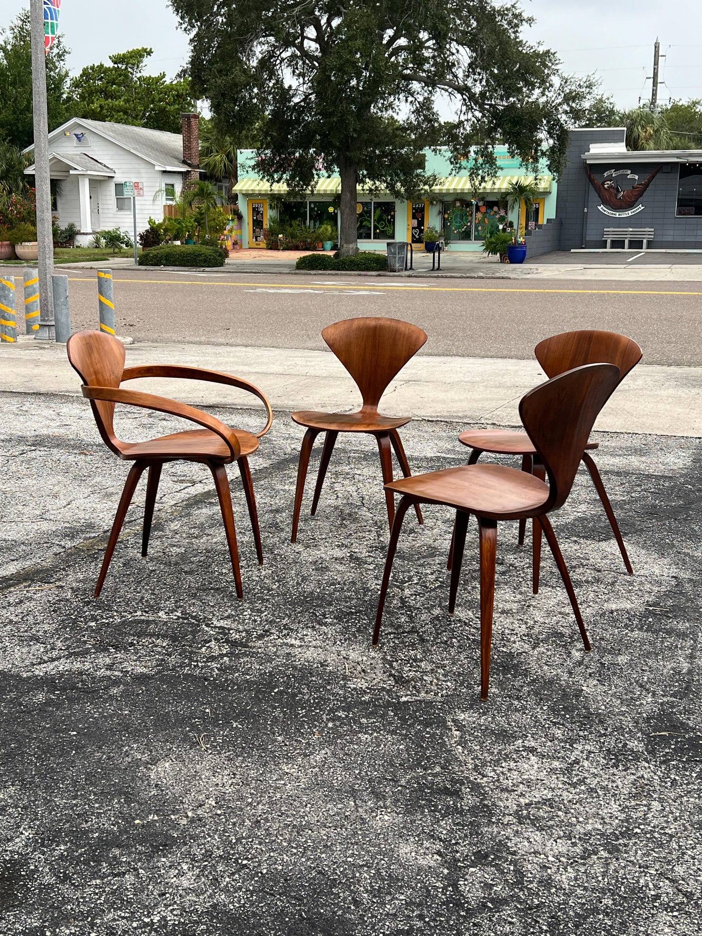Frisman Vintage A Vintage Norman Cherner Plycraft Arm Chair And Three Side Chairs ca' 1950's