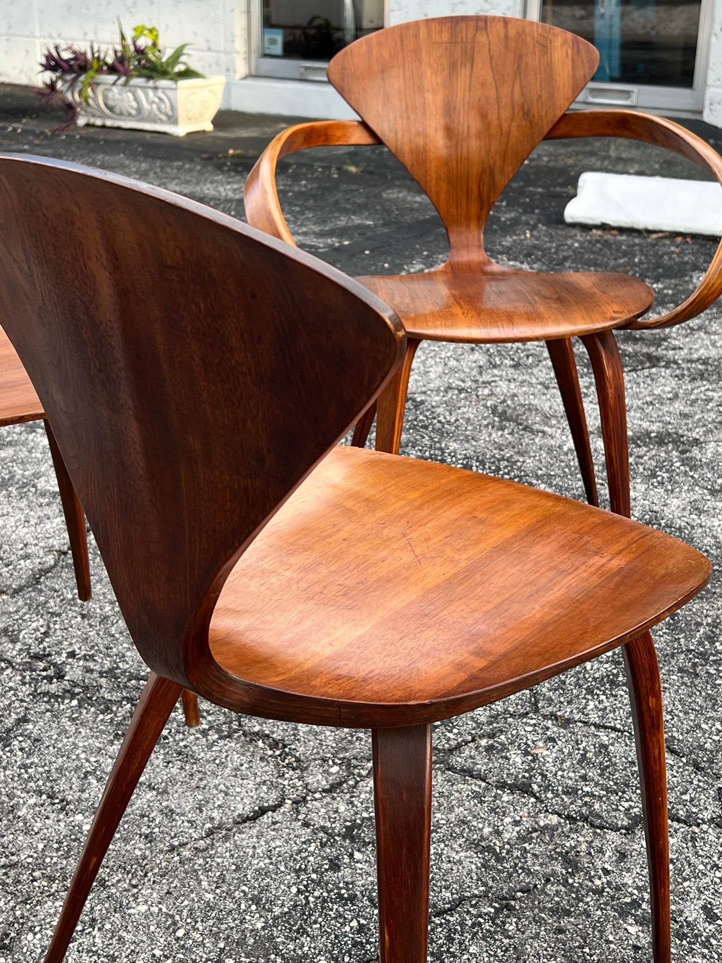 Frisman Vintage A Vintage Norman Cherner Plycraft Arm Chair And Three Side Chairs ca' 1950's