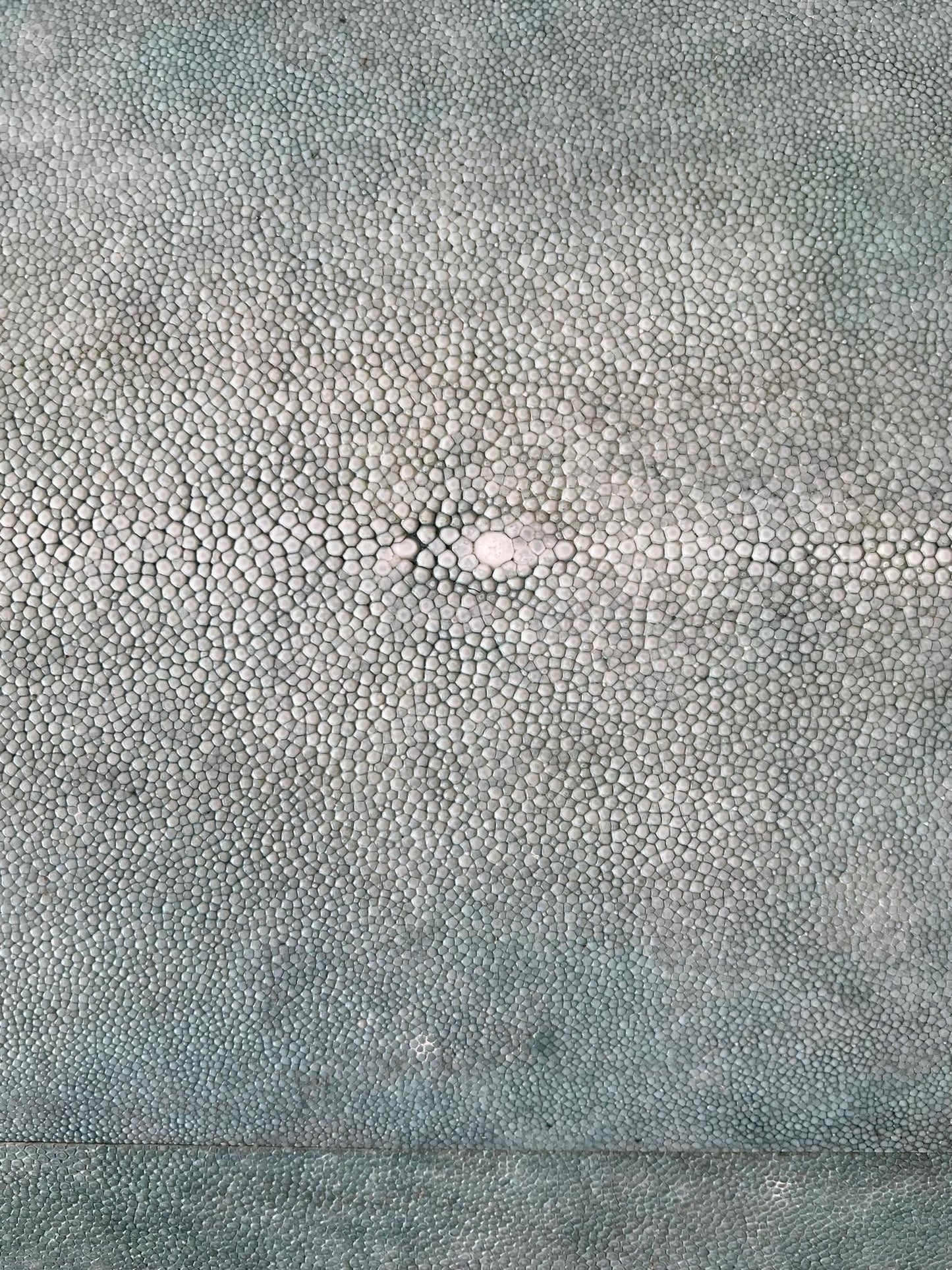 Frisman Vintage A Large Shagreen Jewelry Box By R&Y Augousti