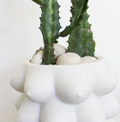 Frisman Vintage Jonathan Alder Georgia Perpetual Boob Green Garden Plant the Future Planter Vase