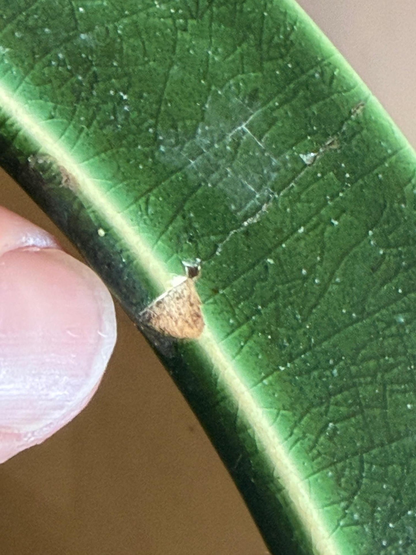 Frisman Vintage 60s Pop Art Hand Painted Ceramic Umbrella Stand Holder Abstract Harlequin