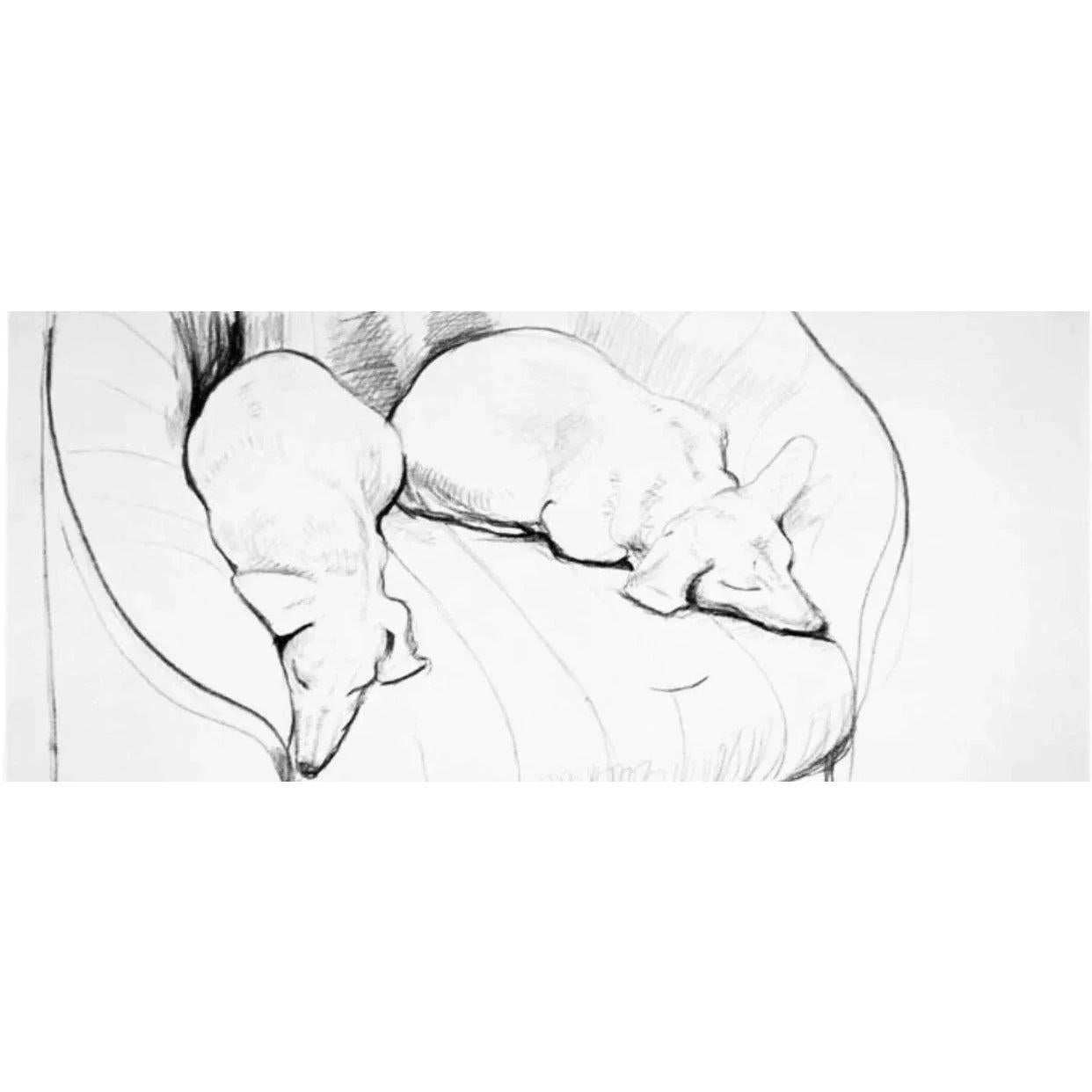 Frisman Vintage Original 90's David Hockney Stanley & Boodge Dachshund Dog Exhibition Poster