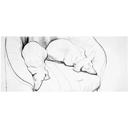 Frisman Vintage Original 90's David Hockney Stanley & Boodge Dachshund Dog Exhibition Poster