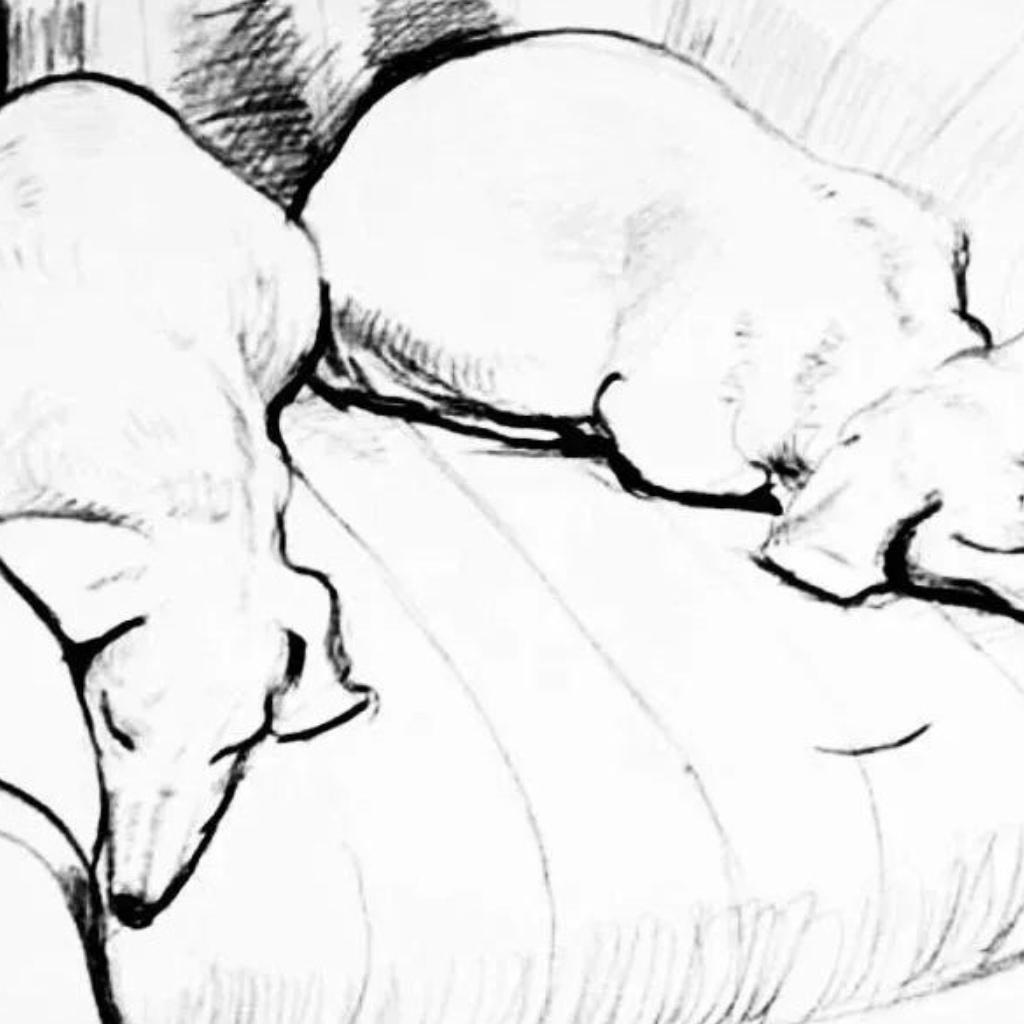 Frisman Vintage Original 90's David Hockney Stanley & Boodge Dachshund Dog Exhibition Poster