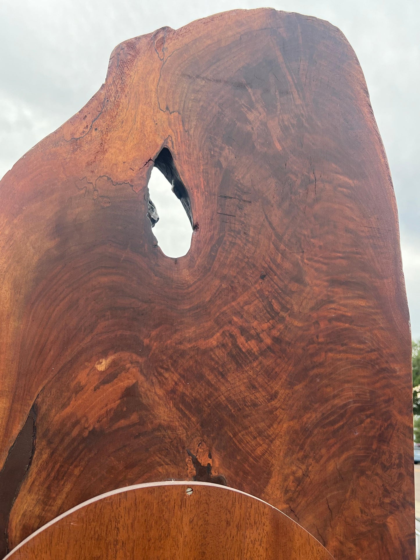 Live Edge Organic Mirror By Richard Rothbard 1971 Solid Walnut