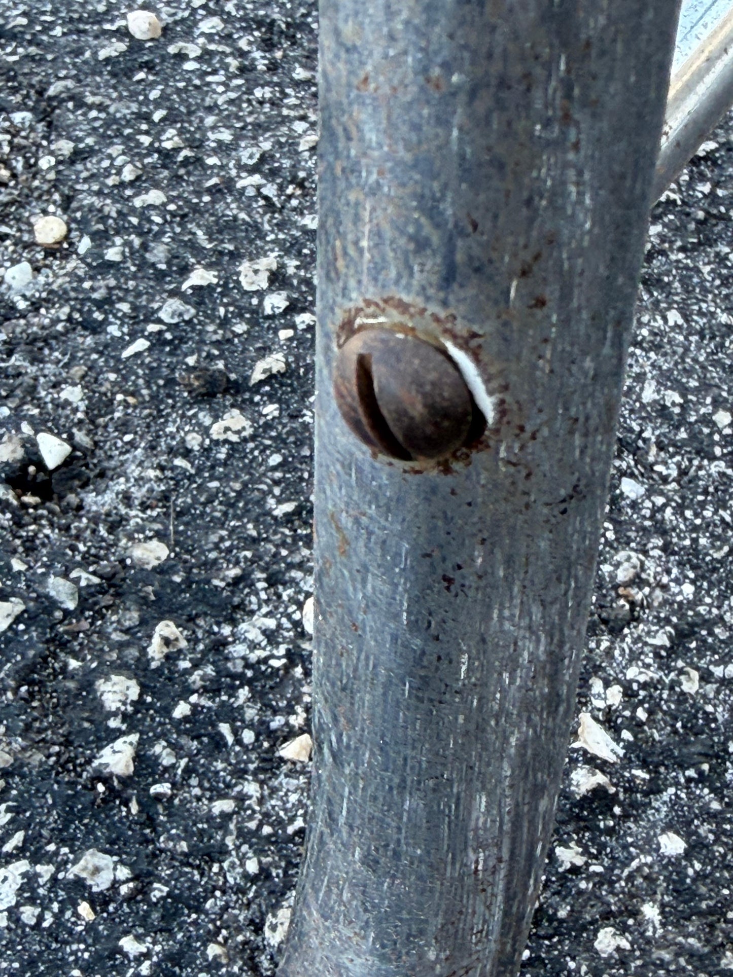 Frisman Vintage An Unusual Art Deco Table By Chrometube ca' 1930's