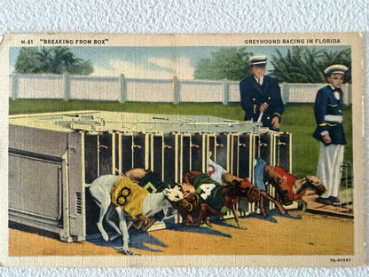 Frisman Vintage St.Petersburg Florida Vintage Postcard Album 300+ Linens Photos 1930's