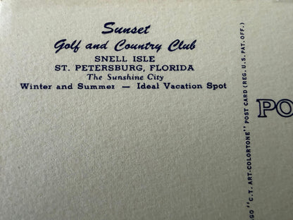 Frisman Vintage St.Petersburg Florida Vintage Postcard Album 300+ Linens Photos 1930's
