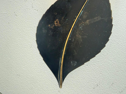 Frisman Vintage Leaf-shaped Brass Bowl With Dark Patina By Werkstätte Carl Auböck ca' 1960s
