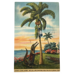 St.Petersburg Florida Vintage Postcard Album 300+ Linens Photos 1930's