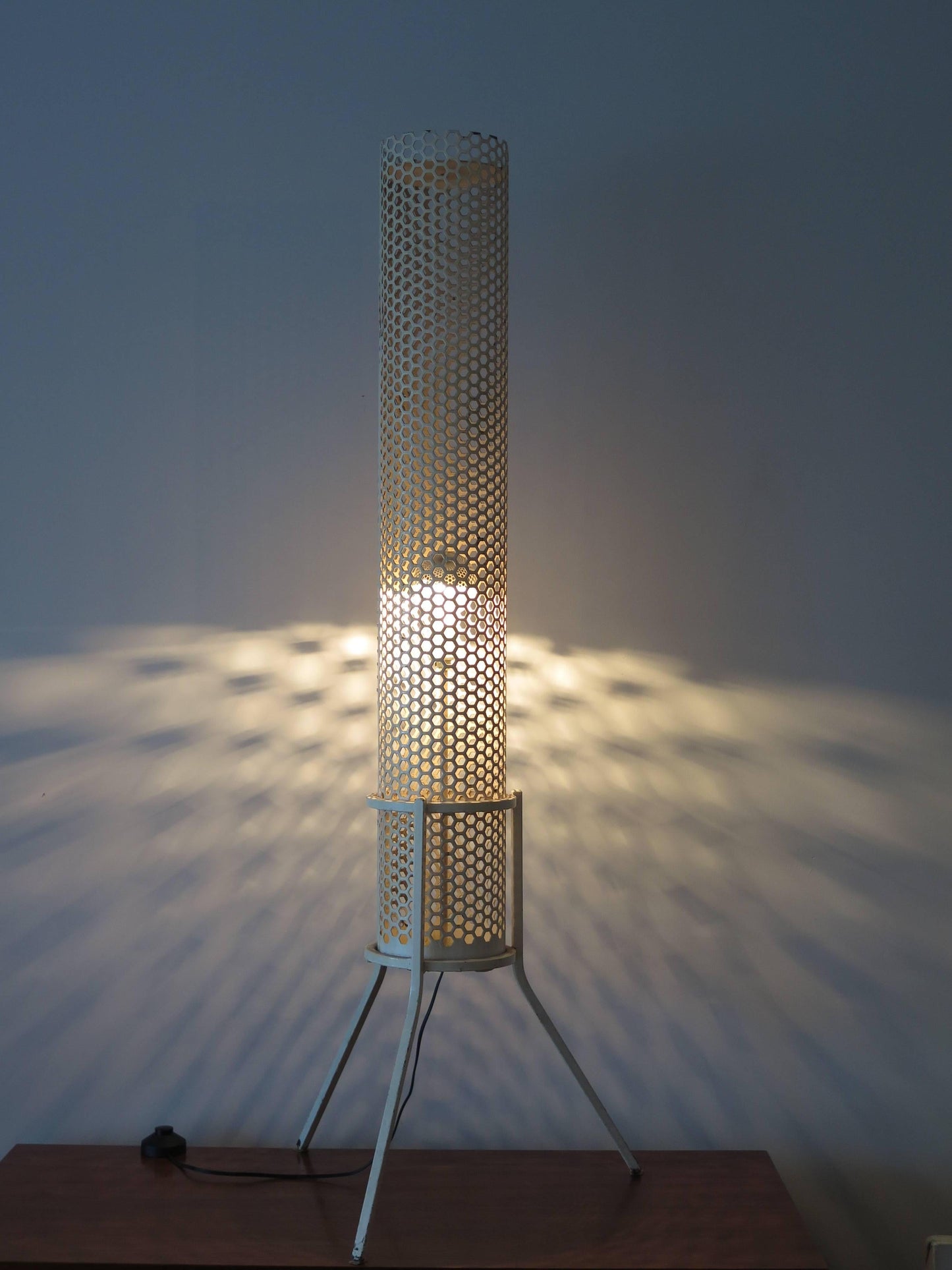 Unusual Floor Lamp in the Style of Mathieu Matégot