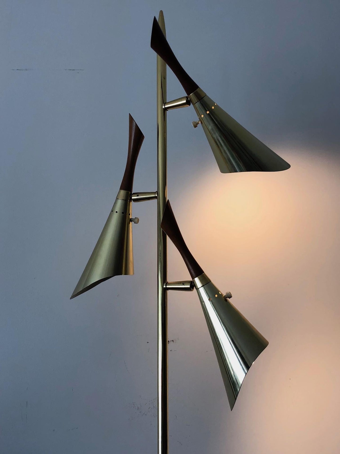 Laurel Floor Lamp with Pivoting Shades