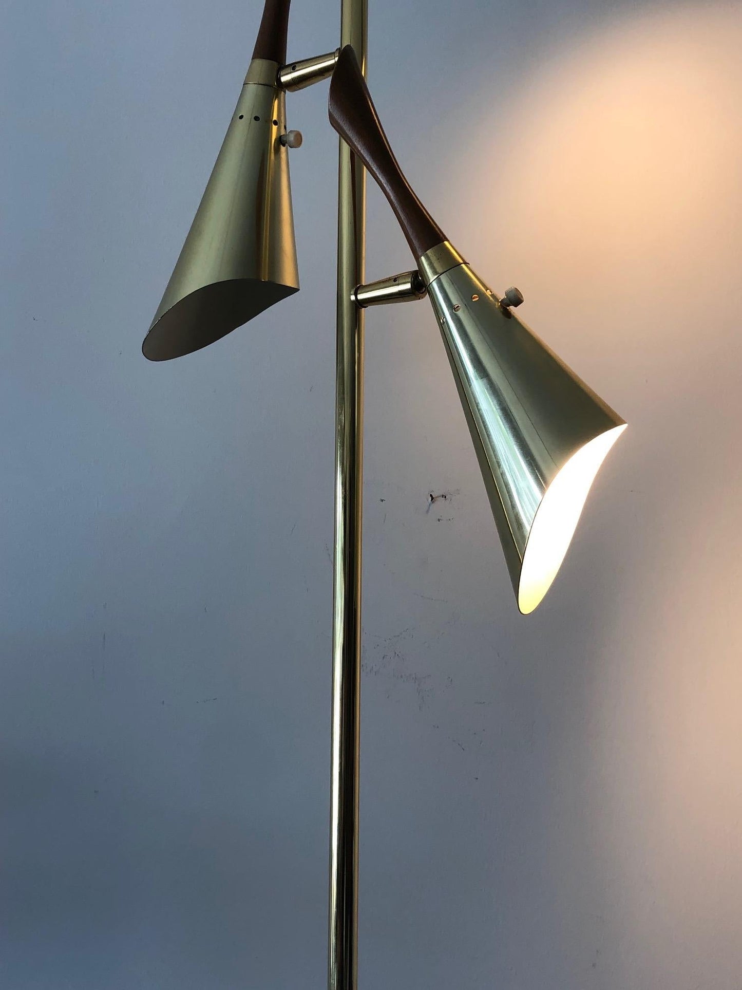 Laurel Floor Lamp with Pivoting Shades